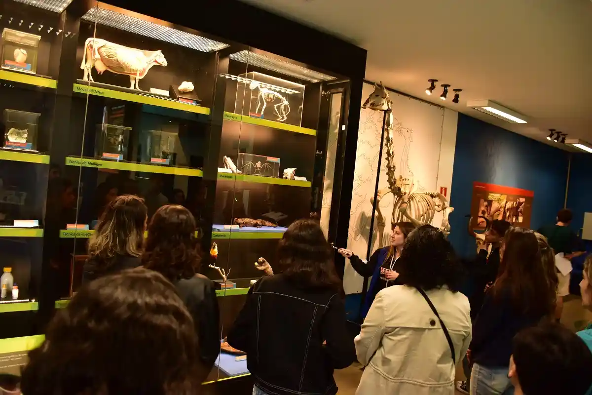 Museu de Anatomia Veterinária (MAV)
