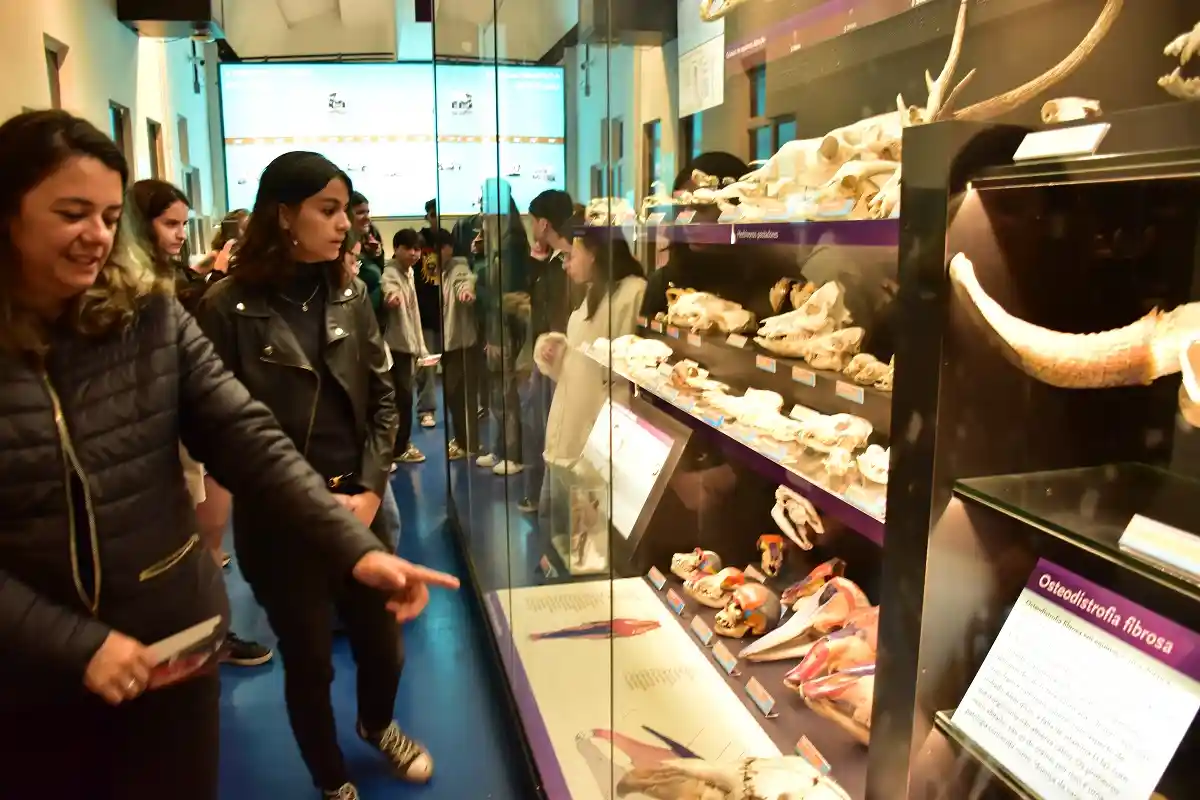 Museu